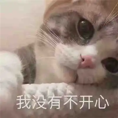 请允许我做一个悲伤的表情包图片