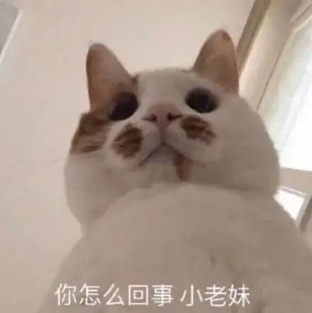 新版小龙女竟然是她能超越刘亦菲李若彤吗
