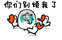 金馆长动态
