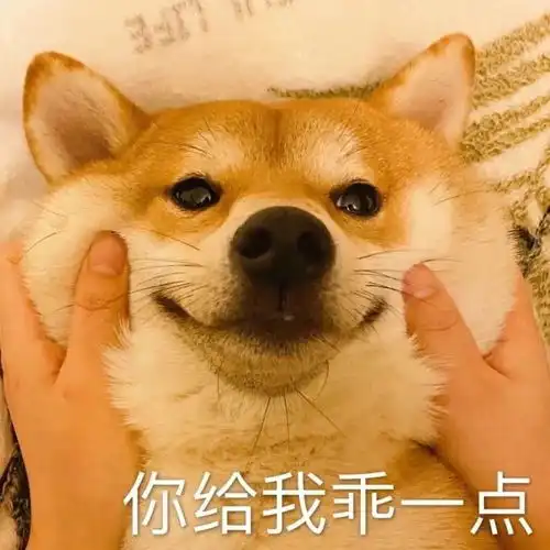 表情包请摆清你身为儿子的地位
