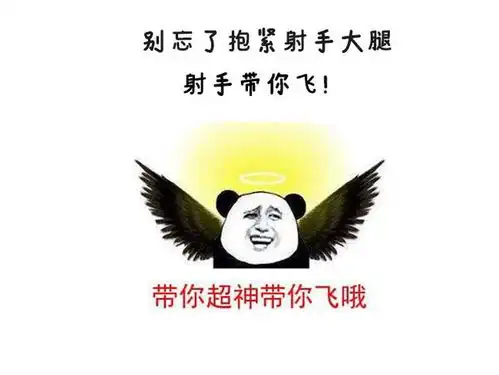 2020年抱紧射手的大腿,带你起飞
