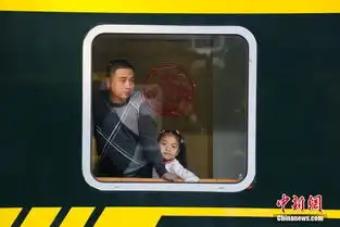 春运火车上的萌娃表情
