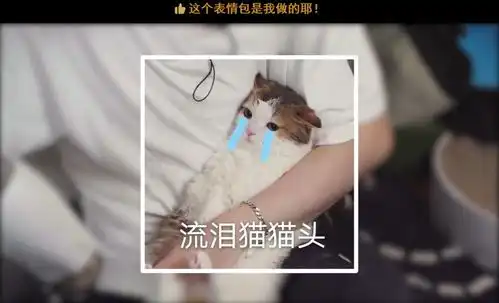 每天都在用的表情包,竟然是个up主
