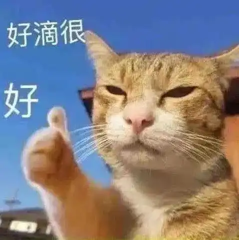 表情包别让懒惰耽误了青春
