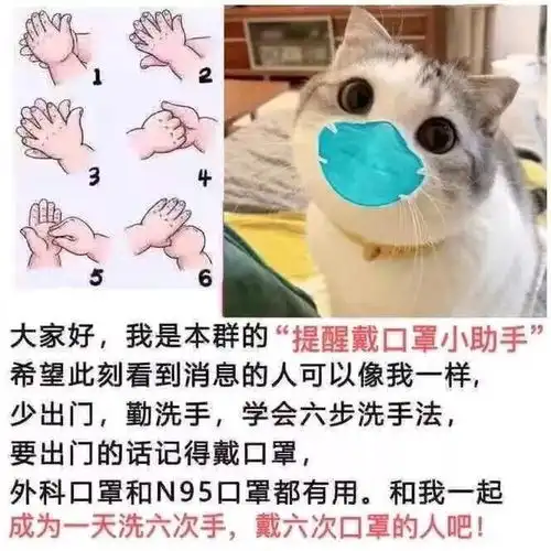 2020最新热门表情包我想出去玩,不,你不想,你没有口罩
