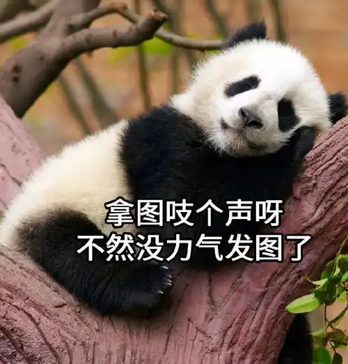 沙雕妹妹的表情包来了,小宝贝们快来保存
