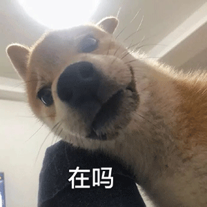 表情包我确实是直男
