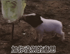 表情包你懂我的意思吧,动态套路撩妹表情
