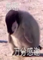 咬你大坏蛋张飞卖萌表情包感谢万分感谢小企鹅表情包下载乐游网游戏下载
