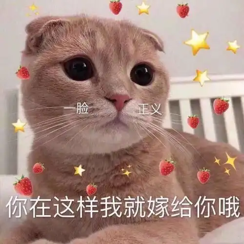 高甜预警用你所学专业说一句情话
