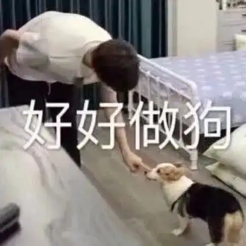 来饱组挑奶泡森不就是想薅饱组范丞丞羊毛...
