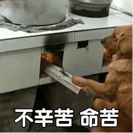 表情包听我指挥
