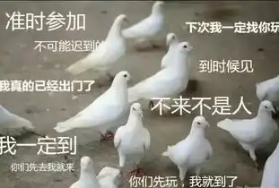脚和脸长得一样的狗