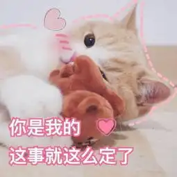 猫咪表情包撩老公系列爱你呦我好想你
