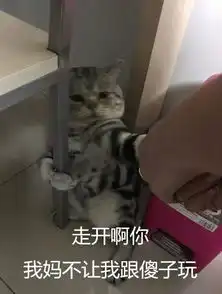 网文里的那些智障情节
