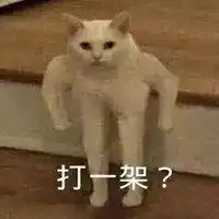 沙雕动物表情包微信头像图片大全
