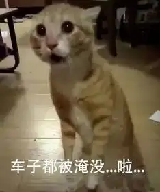 汽车淹没只怪广安华蓥这场暴雨来得太猛烈
