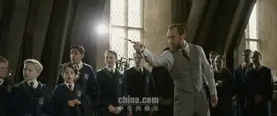 神奇动物格林德沃之罪邓布利多令纽特无力反驳

