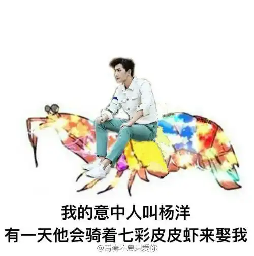你为什么喜欢看杨洋演的旋风少女
