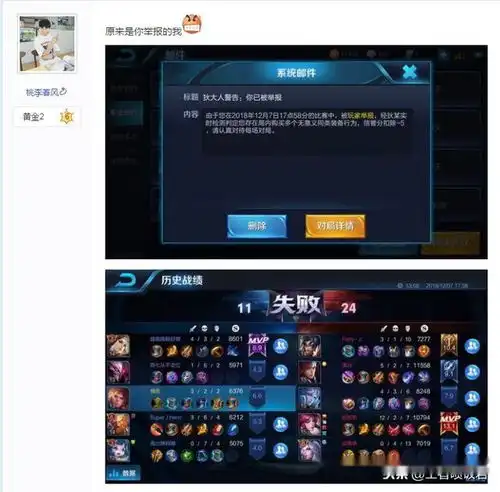王者荣耀法师负战绩,输游戏后举报射手,网友该举报你自己
