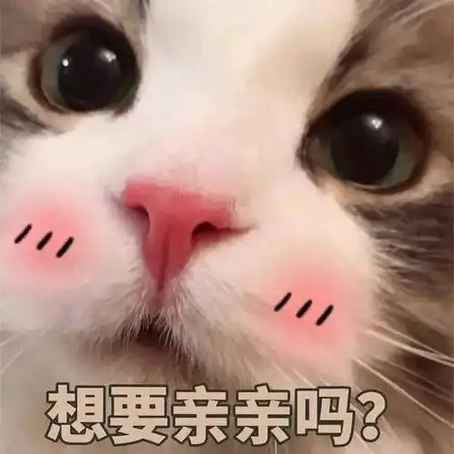 我不管,你就是要宠着我
