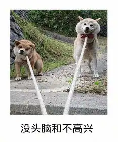 日式冷吐槽不好意思,你别来了我妈回家了
