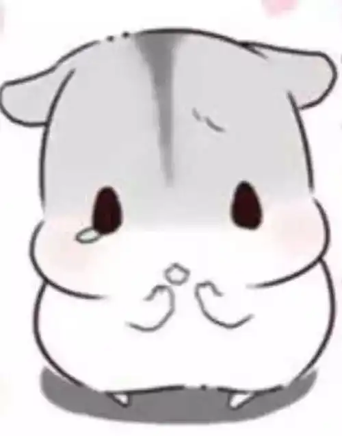 仓鼠卖萌表情包错觉