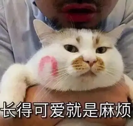 笑si只有学渣才懂的11种神奇复习方法,哈哈哈哈哈哈......
