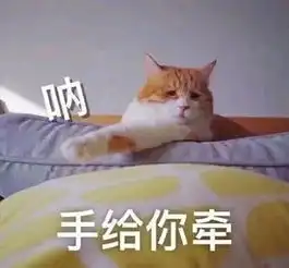 各种糊糊的沙雕猫表情包,看完忍不住有点喜欢
