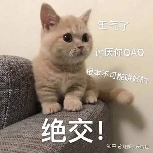 搞笑表情包图片生气了,绝交,这次不可能哄好的
