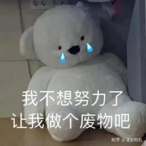 表情包看看猪在干嘛
