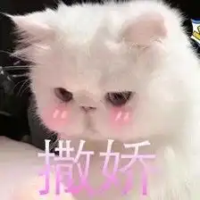 我想问问已经考上四级证的亲们,你们是如何考上的
