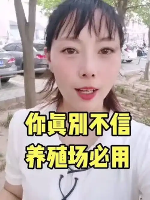 你真别不信,养殖场必用的灭蝇好产品,100米发12包养猪猪价三农养猪人养猪人加油干
