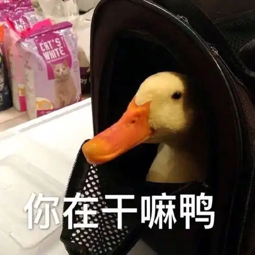 幽默段子笑话今天有个妹纸来应聘,她的条件都符合公司的要求
