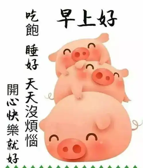 珍惜一份真感情,没有心计,只有真心,微笑度过每一天,早安生活
