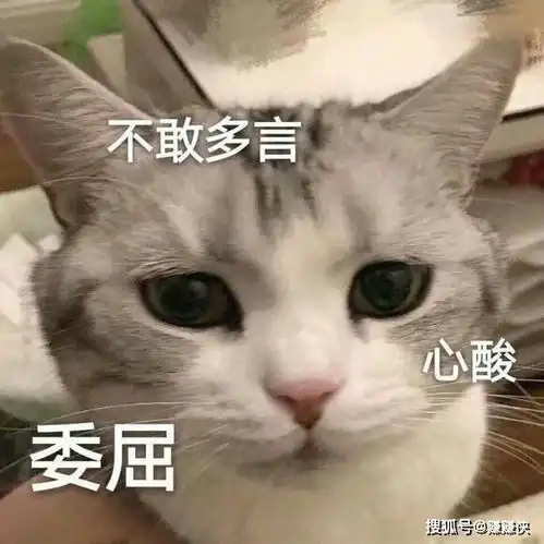 调戏表情包图片虽然我见过那么多猪,但还是你最可爱
