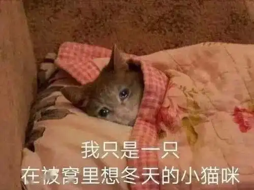 与冬困说再见
