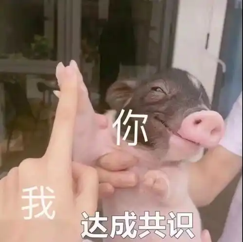 景宁人有话说景宁朋友,你当初撒过最扯的慌是什么
