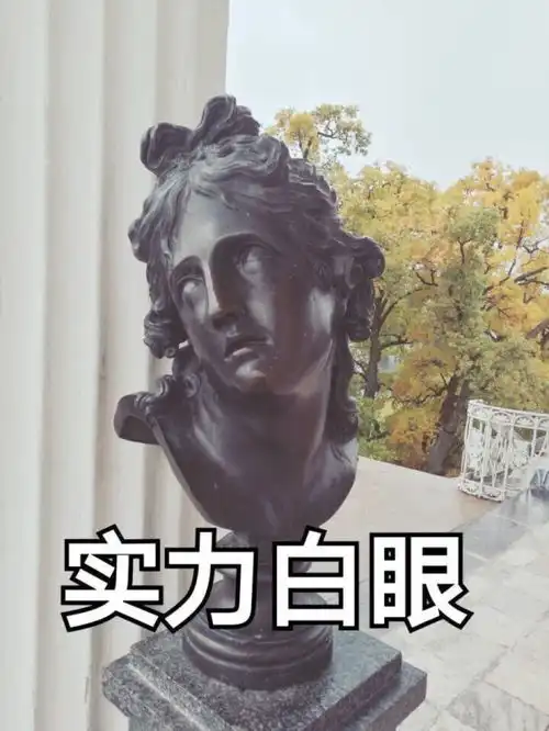 有哪些怼人用的金句文案

