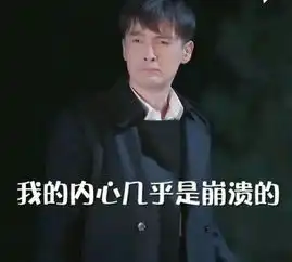 胡歌像酪梨,郑元畅像是火龙果林依晨真会说
