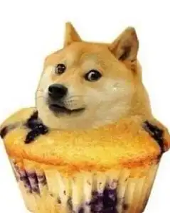 doge
