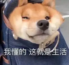 商场里又丑又贵的女装,到底都卖给谁了
