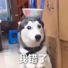 好玩的斗图表情包
