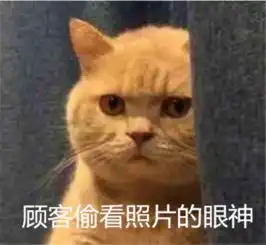 重庆深度游