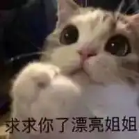 哄人专用表情包一套
