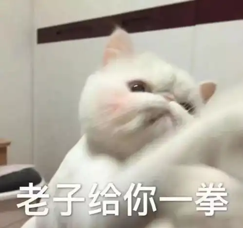 不要再给猫随便剃毛了,它真的会抑郁的
