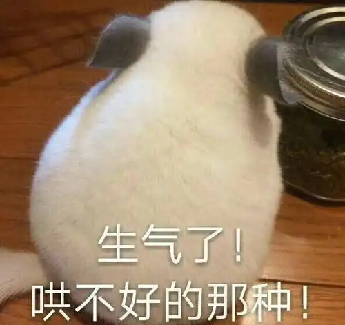 一个屁墩
