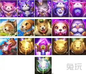 lol飞机化身柯基骑士猫狗大战全面揭秘