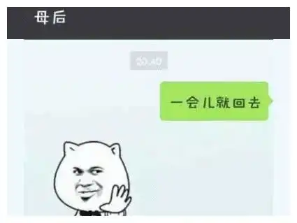 当爸妈学会用表情包聊天后,仿佛打开了新世界的大门
