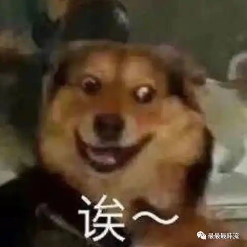 打住真的够了